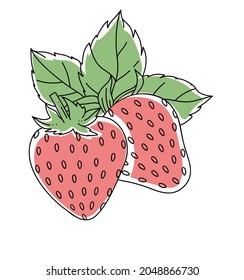 Starwberries with leaves, doodle color vector illustartion