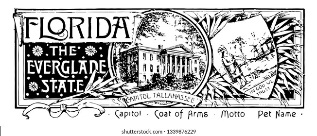 The state banner of Florida the everglade state this seal has state house in center THE EVERGLADE STATE in right side and shield shape with a farmer in left side vintage 