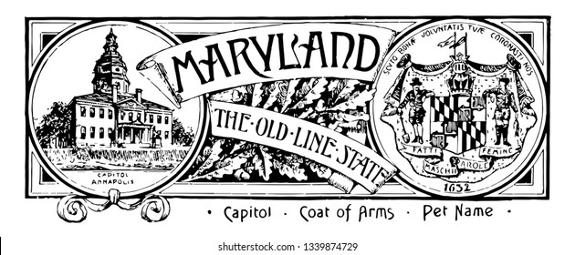 The state banner of Maryland the old line state this banner shows a state house in left side circle in right side with a plowman and a fisherman supporting to a shield above that a crown with two flag