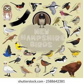 State Birds New Hampshire Set Vector Illustration