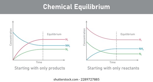 State of chemical equilibrium in reaction. Time concentration graph. Vector illustration isolated on white background.