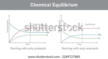 State of chemical equilibrium in reaction. Time concentration graph. Vector illustration isolated on white background.