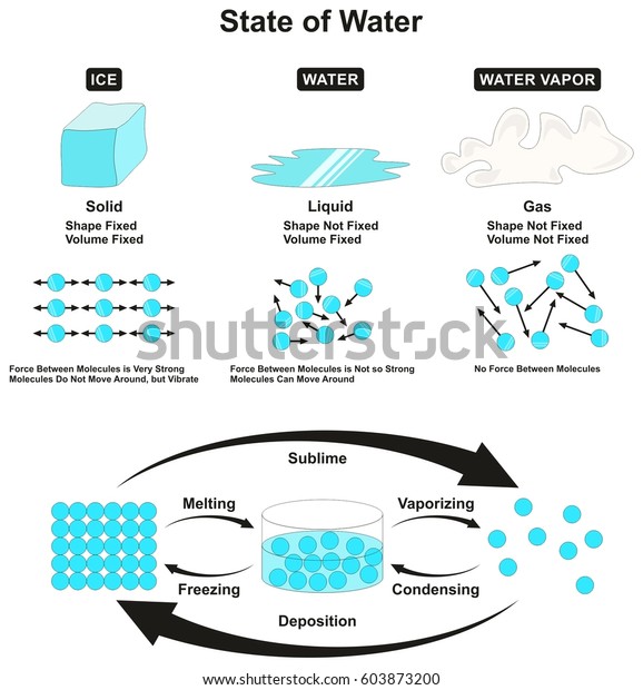 State Water Infographic Solid Ice Liquid Stock Vector (royalty Free 