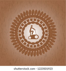 stationary bike icon inside vintage wooden emblem