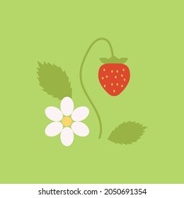 A Stawberry With The Flower