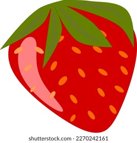 Stawberry red summer fruit, transparent background. Vector graphic illustration. Vegetarian cafe print, poster, card. Natural, organic dessert sweet, fresh berry