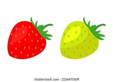 Stawberry Red Summer Fruit, White Background. Vector Graphic Illustration.