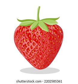 Stawberry red summer fruit, white background. Vector graphic illustration. Vegetarian cafe print, poster, card. Natural, organic dessert sweet, fresh berry