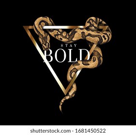 stay bold slogan with python wrapping around triangle frame illustration