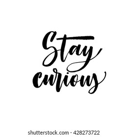 Stay curious card. Hand drawn inspiration quote. Modern brush calligraphy. Hand drawn lettering background. Ink illustration. Isolated on white background. 