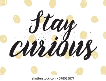 Stay curious inscription. Greeting card with calligraphy. Hand drawn lettering design. Photo overlay. Typography for banner, poster or apparel design. Isolated vector element.