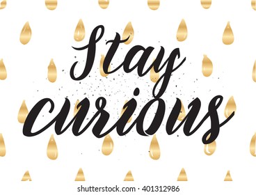 Stay curious inspirational inscription. Greeting card with calligraphy. Hand drawn lettering design. Photo overlay. Typography for banner, poster or apparel design. Vector typography.