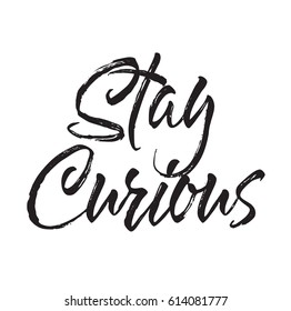 stay curious, text design. Vector calligraphy. Typography poster. Usable as background.