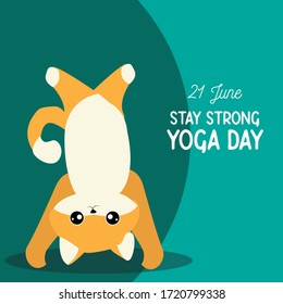 Stay fit with yoga on june yoga day cute cat
