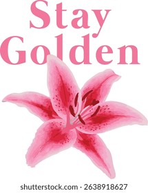 Stay Golden – Pink Lily Flower Illustration with Bold Typography
