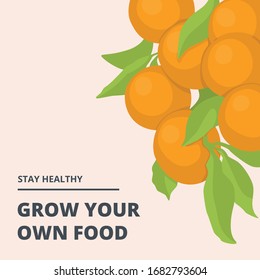 stay healthy, grow your own food quote with orange tree illustration vintage vector art.