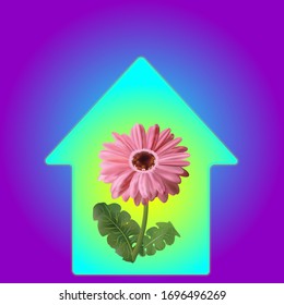 Stay home icon. Prevent the spread of infection. Living flower in the house. Comfort and protection in the house. Vector illustration