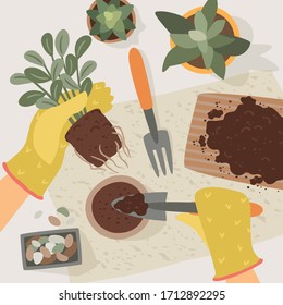 Stay at home. Woman replants houseplant. Vector illustration. Concept for self-isolation during quarantine and other use.