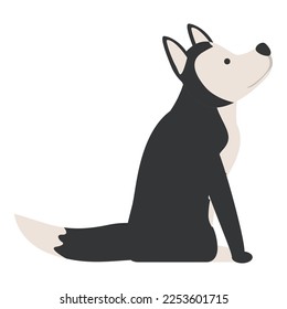 Stay husky icon cartoon vector. Siberian dog. Happy animal
