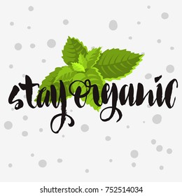 Stay Organic Rough Traced  Custom Artistic Handwritten Brush Calligraphy Design With Mint Leaves Illustration On A White Background. Vector Graphic.