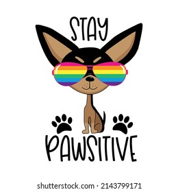 Stay pawsitive - motivational slogan with cool chihuahua dog in rainbow color sunglasses.