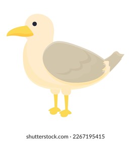 Stay seagull icon cartoon vector. Sea fly. Marine albatross