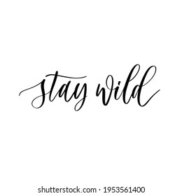 Stay wild. Calligraphy and hand lettering quote, motivational slogan. Phrase for posters, t-shirts and cards