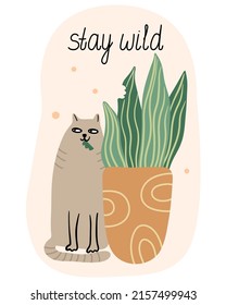 Stay wild. Card with a cat eating sansevieria houseplant in a flower pot.  Flat style. Vector hand drawn illustration isolated on white background. Funny pet.