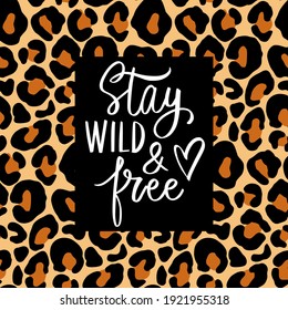 Stay wild and free- Vector hand drawn lettering phrase. Leopard background. Modern brush calligraphy. Motivation and inspiration quotes for photo overlays, greeting cards, t-shirt print, posters.