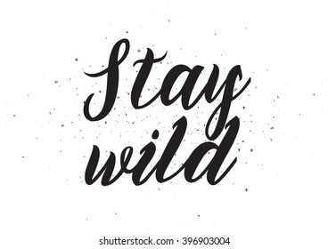 Stay wild inscription. Greeting card with calligraphy. Hand drawn lettering design. Photo overlay. Typography for banner, poster or apparel design. Isolated vector element.