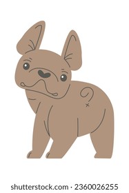 Staying French Bulldog Vector Illustration