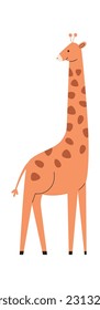 Staying Giraffe Animal Vector Illustration