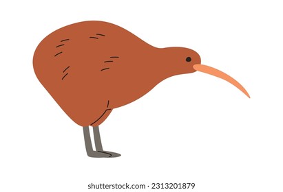 Staying Kiwi Bird Vector Illustration