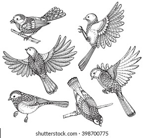 Ste of hand drawn ornate birds. Black and white vector illustration. Each object is isolated on a white background