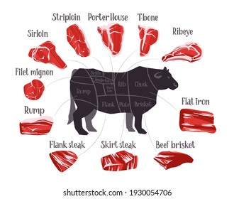 Steak cuts set. Beef cuts chart and pieces of beef, used for cooking steak and roast. Vector hand drawn flat illustration with lettering for butcher shop or steak house restaurant menu.