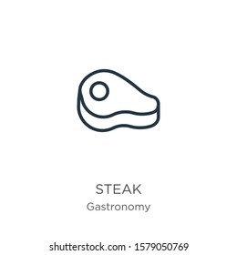 Steak icon. Thin linear steak outline icon isolated on white background from gastronomy collection. Line vector sign, symbol for web and mobile