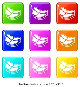 Steak icons of 9 color set isolated vector illustration