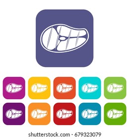 Steak icons set vector illustration in flat style In colors red, blue, green and other