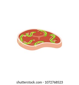 Steak isolated vector illustration. Cartoon style piece of raw meat. Isometric meat 
