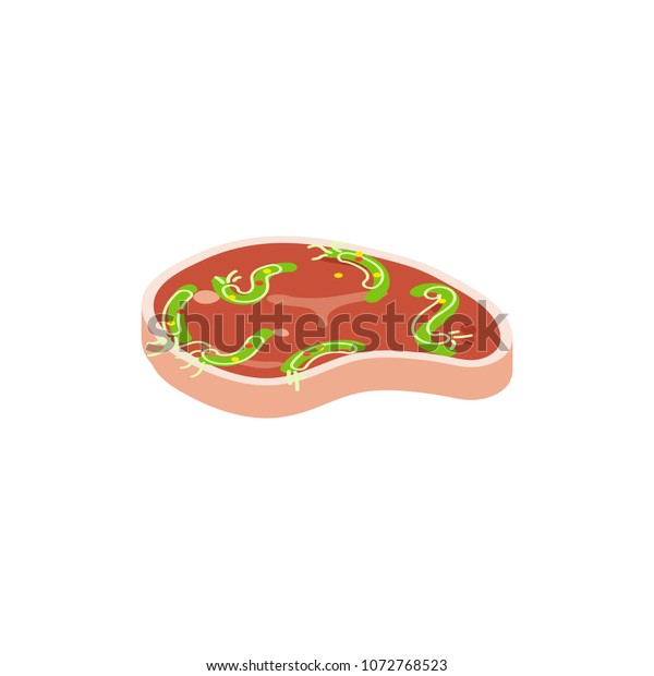 ステーキのベクターイラスト 生肉の漫画風の切れ端 等尺性肉 のベクター画像素材 ロイヤリティフリー