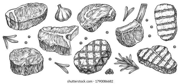 Steak sketch. Hand drawn beef, lamb and pork steak extra or medium rare with garlic, greenery and pepper spice vector collection. Butchery food meat product sketch engraved set isolated on white