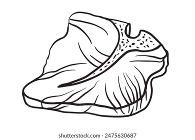 steak T-bone, Raw fresh meat cut from beef, lamb and pork. Vector Hand drawn outline illustration for meat shop, Butchery, market, barbecue, grill, picnic, restaurant, banner, sticker, menu design.