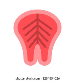 Steak vector, Barbecue related flat design icon
