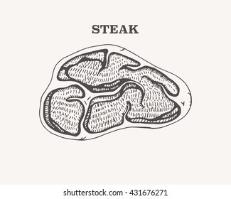 steak. vector illustration. freehand drawing