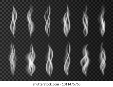 Steam  from a cup of coffee or
 tea.  White cigarette smoke  isolated on transparent background.   Realistic  vector illustration.
