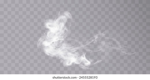 Steam effect special effect. Vector texture of steam, fog, cloud, smoke.	
