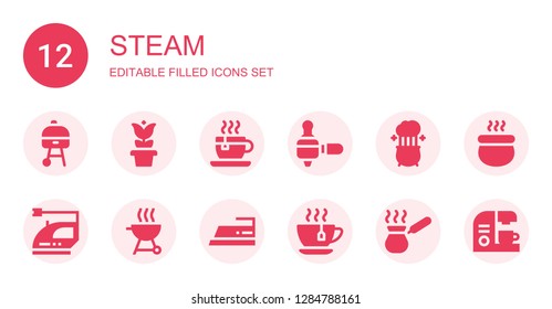 steam icon set. Collection of 12 filled steam icons included Grill, Pot, Tea cup, Coffee maker, Iron, Cezve