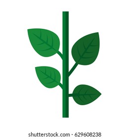 steam with leaves icon