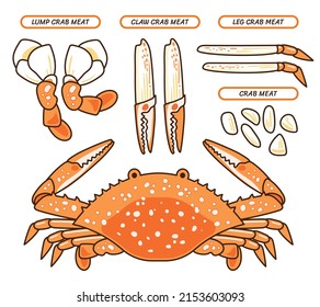 Steamed Blue Crab Isolated In The White Background: Crab Meat Without Shells, Lump, Claw, Leg. Seafood Cartoon Icon Vector Illustration Flat Design Drawing.