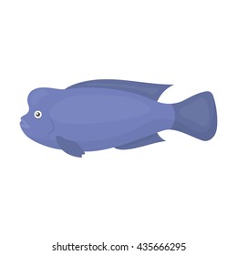 Stearocranus fish icon cartoon. Singe aquarium fish icon from the sea,ocean life collection.